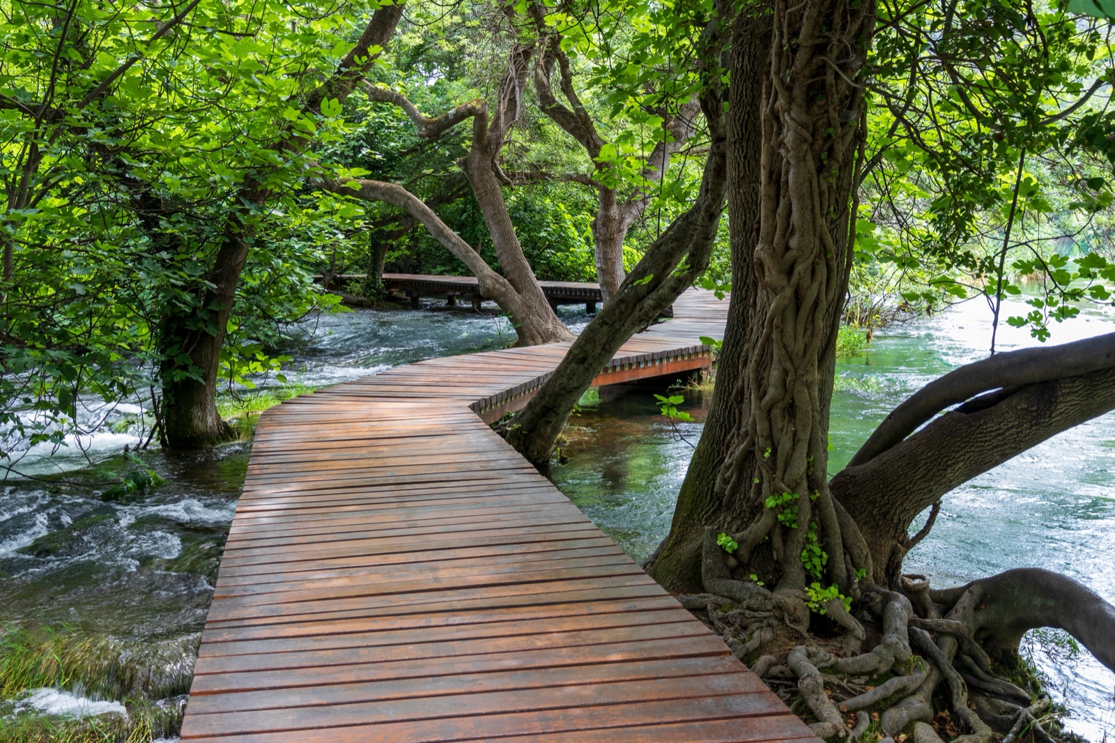 Ein Holzsteg schlängelt sich zwischen Bäumen über schnell fließendes Wasser im Nationalpark Krka